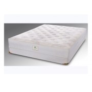 I need to order a European Queen size mattress (160cm by200cm) and I need it in four days! I need to order a European Queen size mattress (160cm by200cm) and I need it in four days!